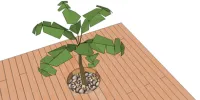 Vorschaubild des Artikels : Ein rundes Beet