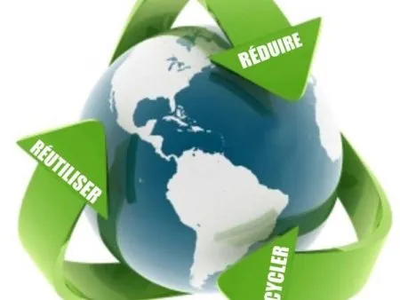 Ökonomie und Ökologie, wie steht es damit?