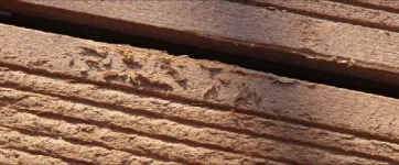 Die erste Generation von Holzverbundwerkstoffen